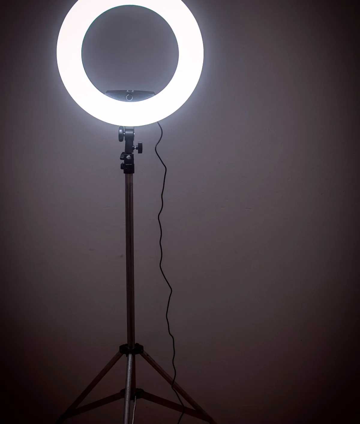 Linking a regional gallery into one working system: Dominic's studio